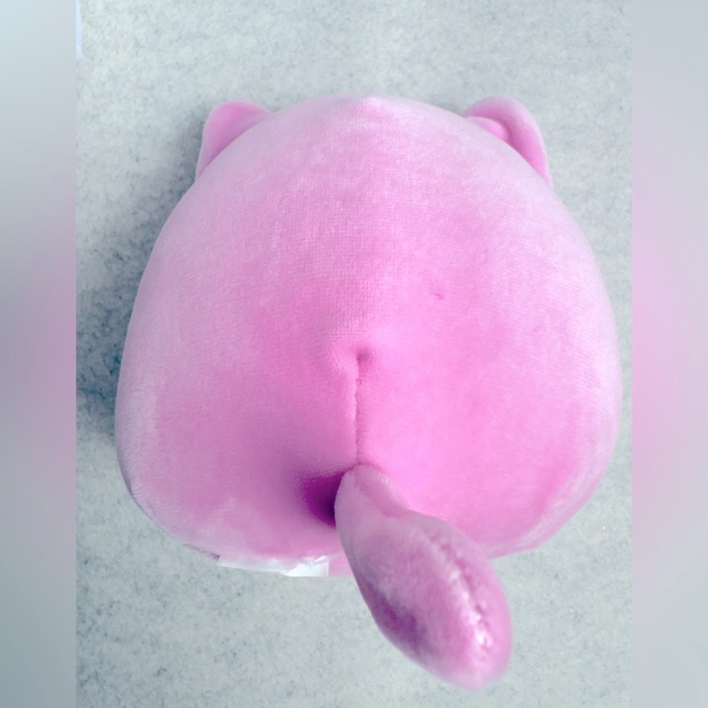 5” Squishmallows Kristina The Cat Sparkle Everyday Plush - Picture 3 of 6
